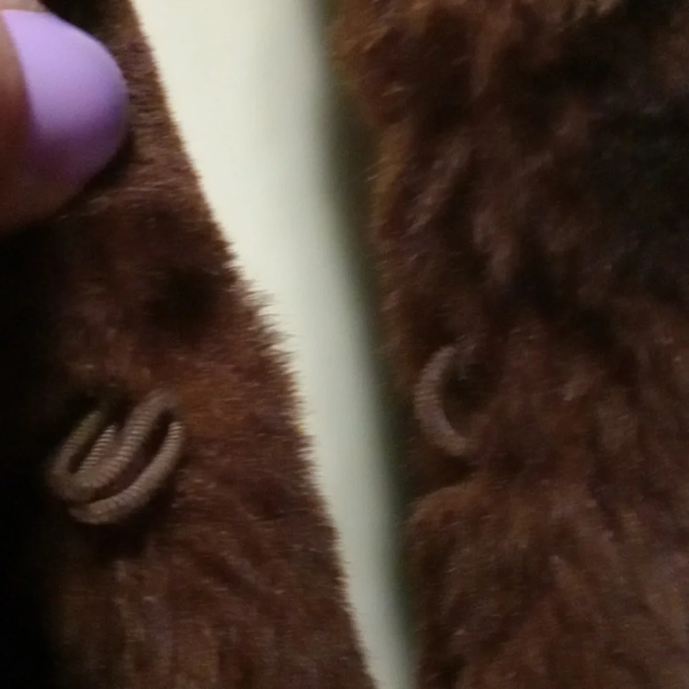 VINTAGE ALASKAN FUR COAT CUSTOM MADE BY CERBOTAI PARIS - Picture 4 of 13